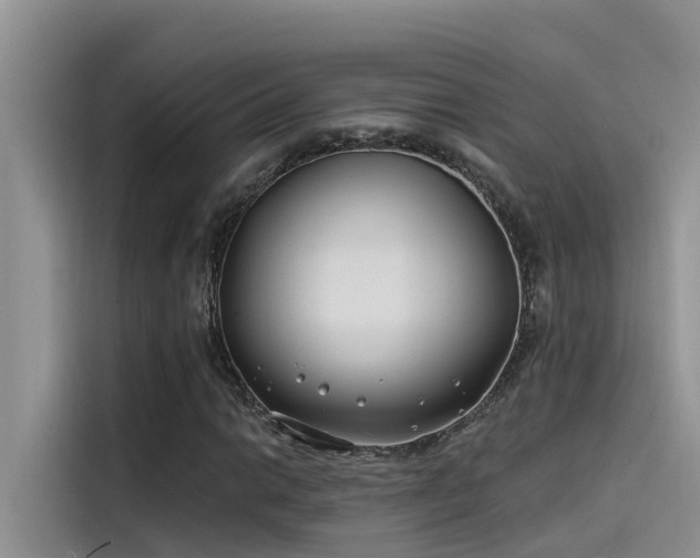 X0000115521014200911131441