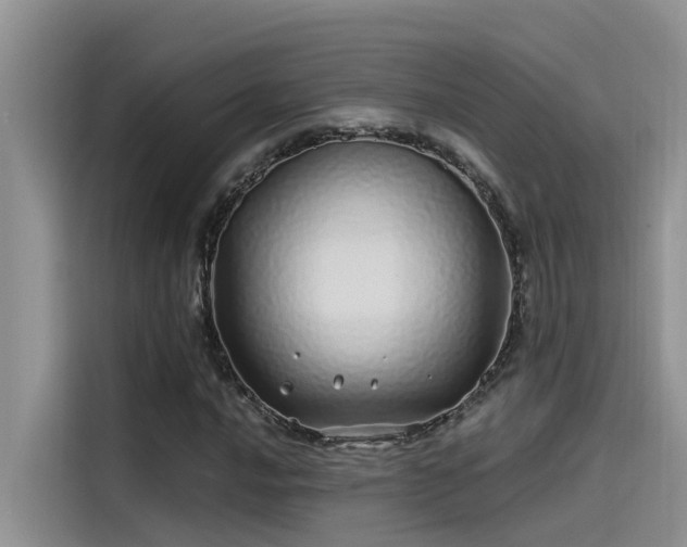 X0000115521016200911131441