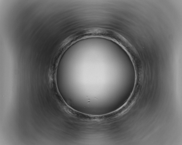 X0000115521017200911131441