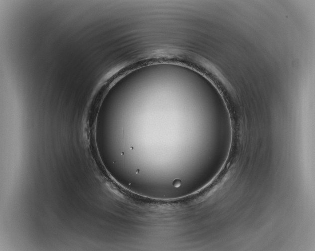 X0000115521018200911131441