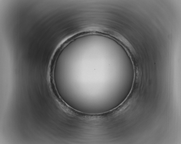 X0000115521020200911131441