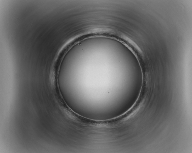 X0000115521021200911131441