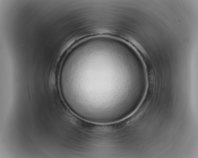 X0000115521023200911131441