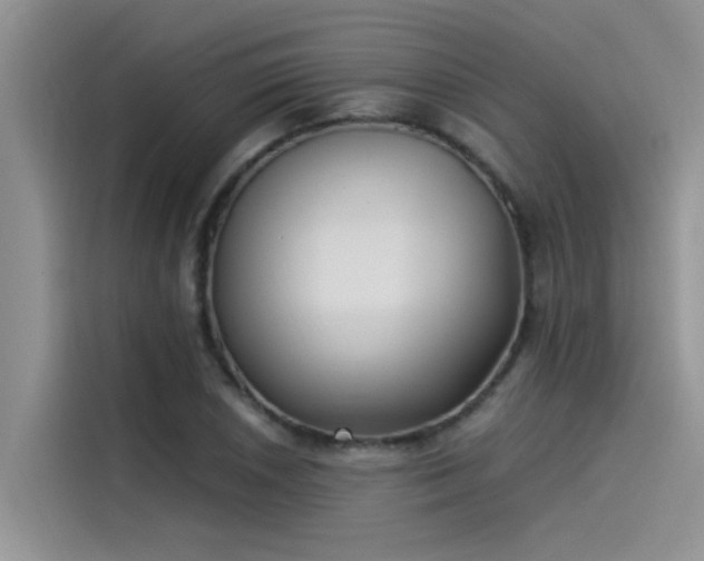 X0000115521026200911131441