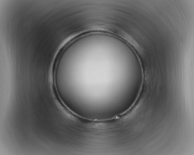 X0000115521028200911131441