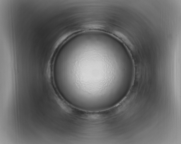 X0000115521031200911131441