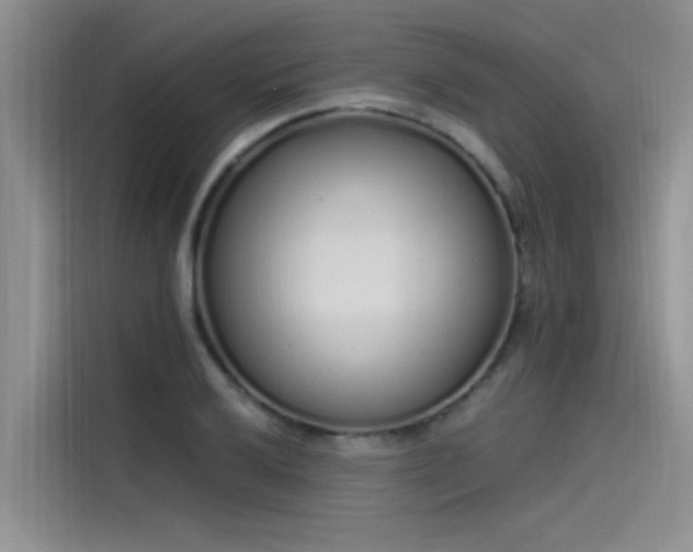 X0000115521032200911131441