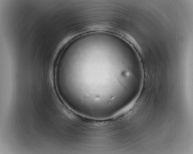 X0000115521035200911131441