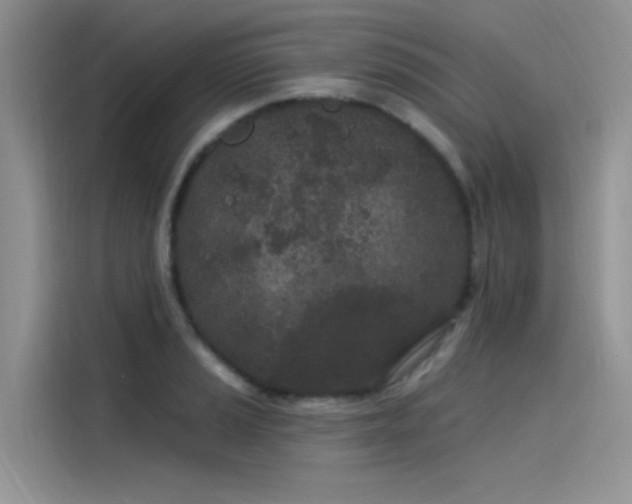 X0000115521037200911131441