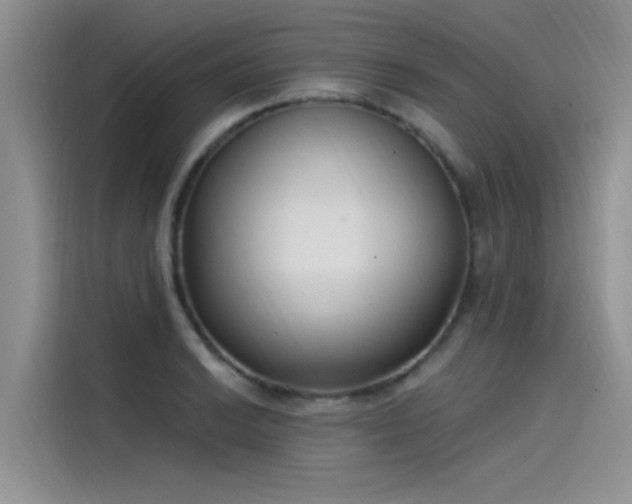 X0000115521038200911131441