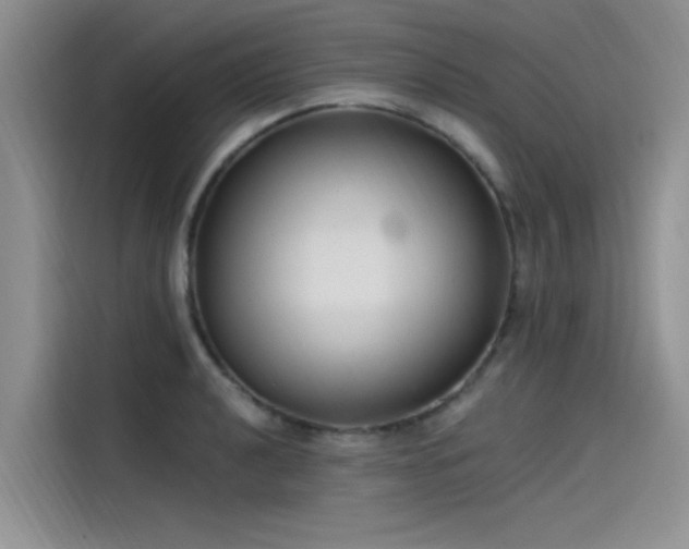 X0000115521040200911131441