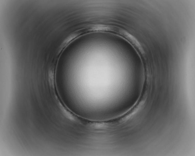 X0000115521041200911131441