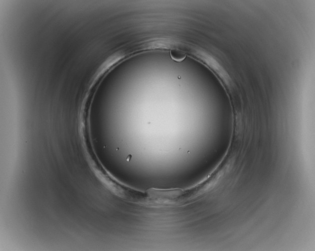 X0000115521042200911131441