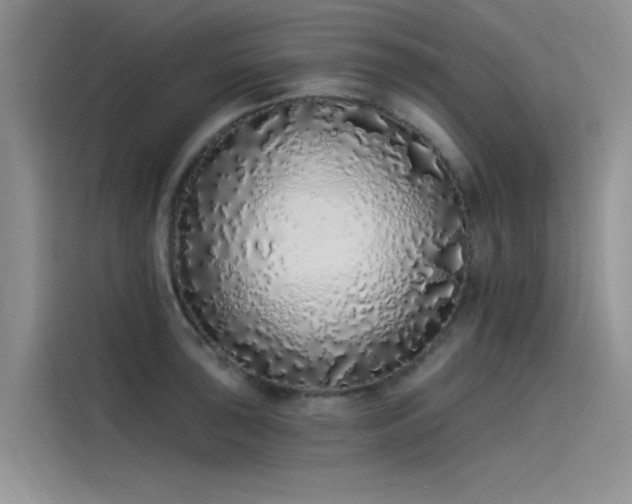 X0000115521043200911131441