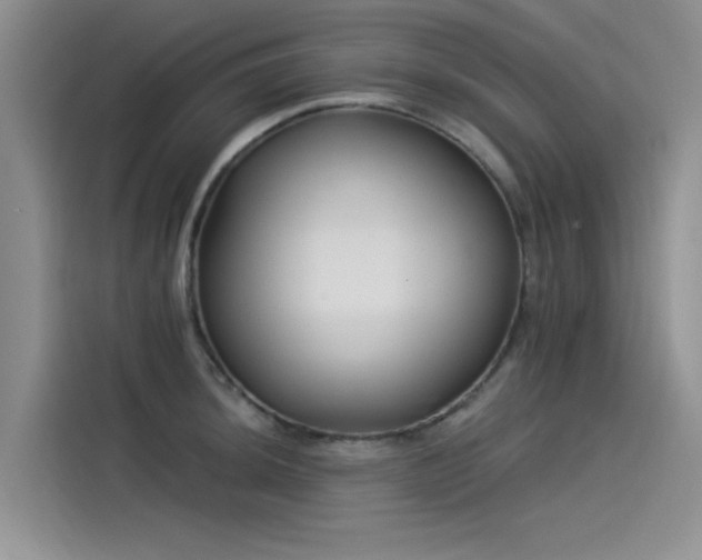 X0000115521044200911131441