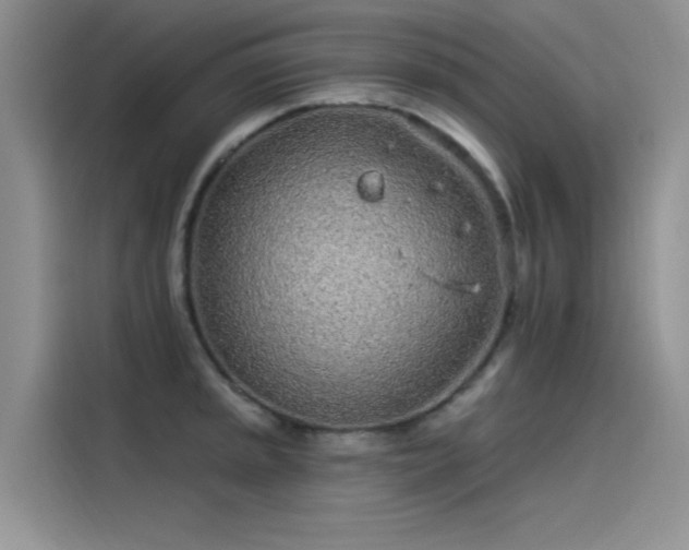 X0000115521045200911131441