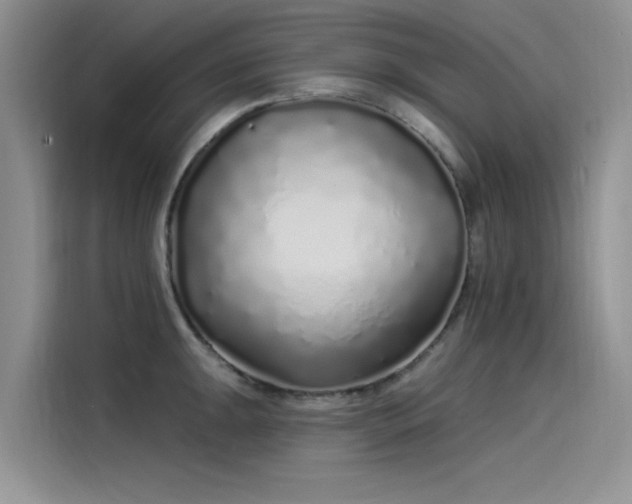 X0000115521047200911131441