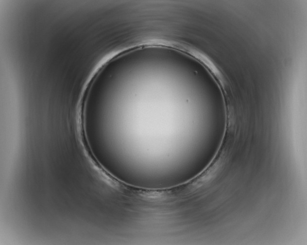 X0000115521048200911131441