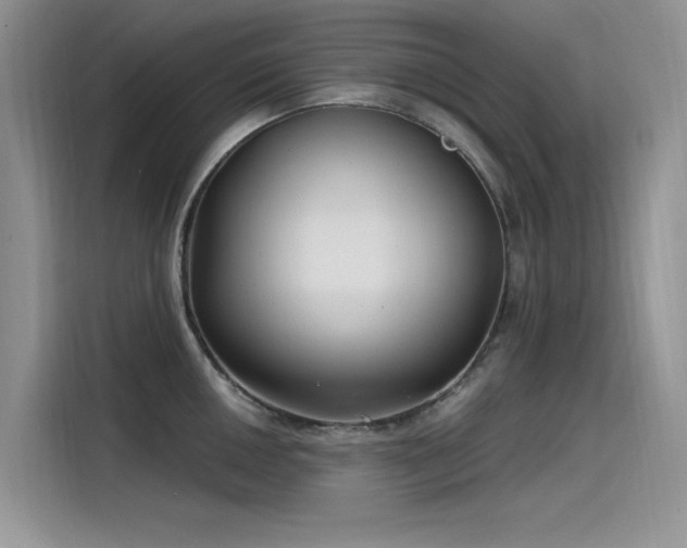 X0000115521050200911131441