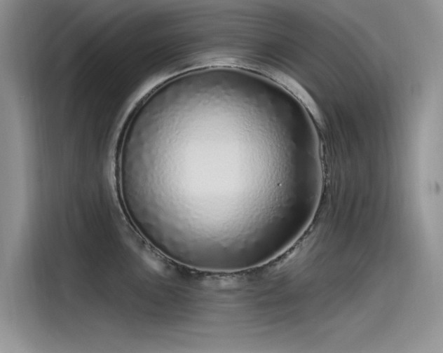 X0000115521051200911131441