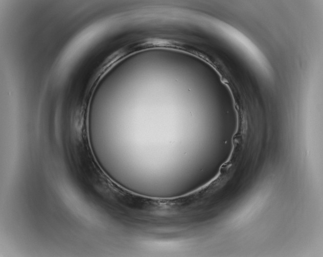 X0000115521052200911131441