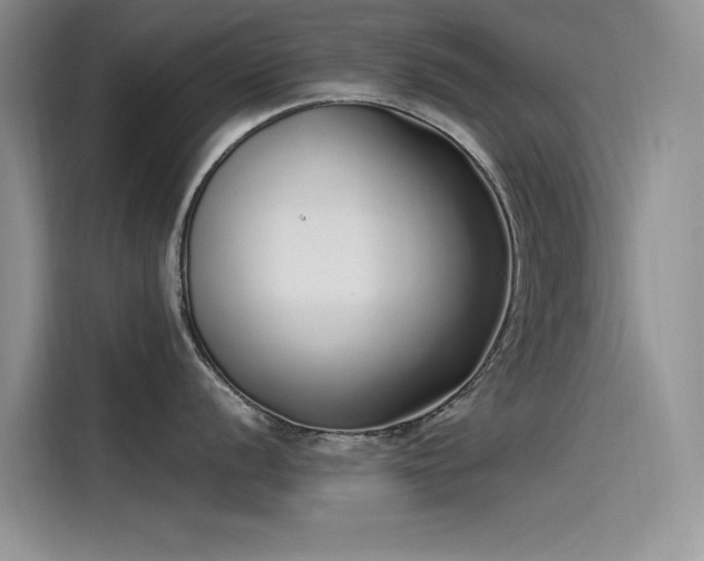 X0000115521056200911131441