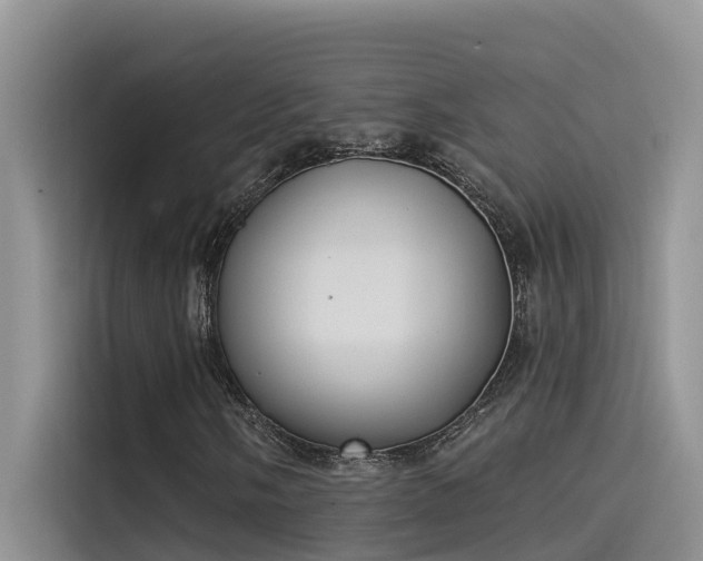 X0000115521058200911131441