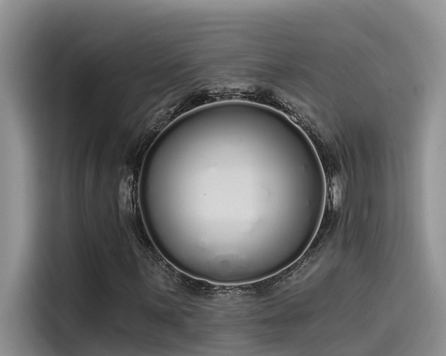 X0000115521059200911131441