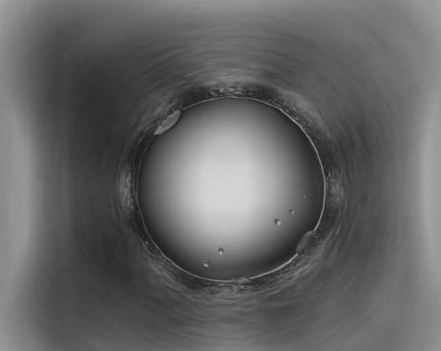 X0000115521060200911131441