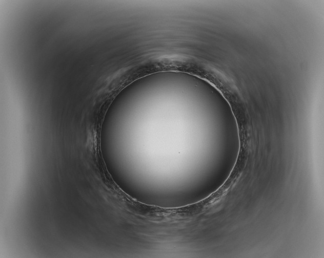 X0000115521061200911131441