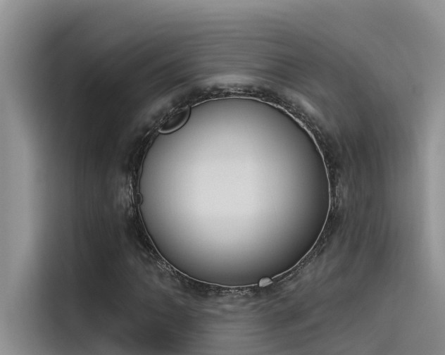 X0000115521062200911131441