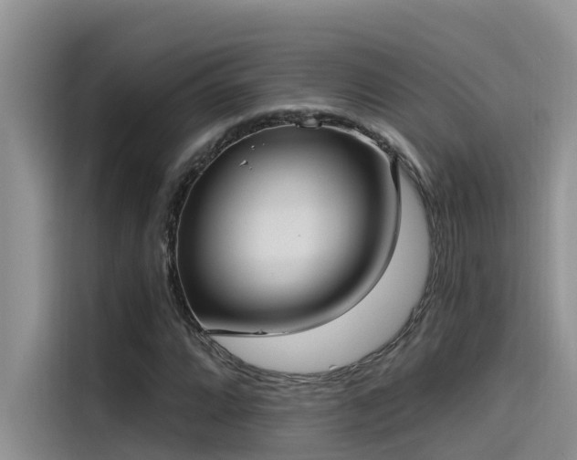 X0000115521064200911131441