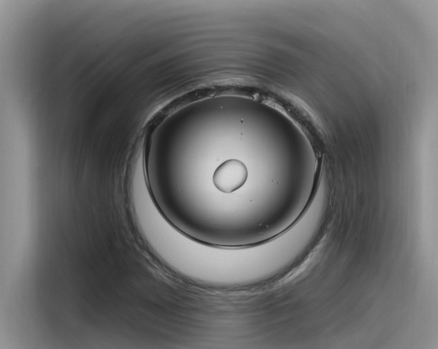 X0000115521065200911131441