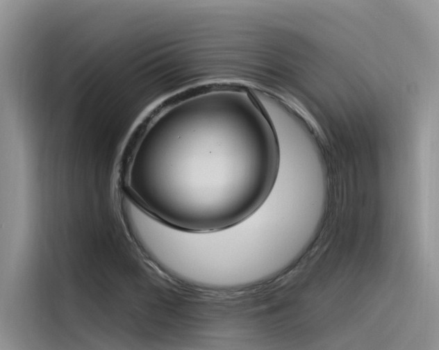 X0000115521068200911131441