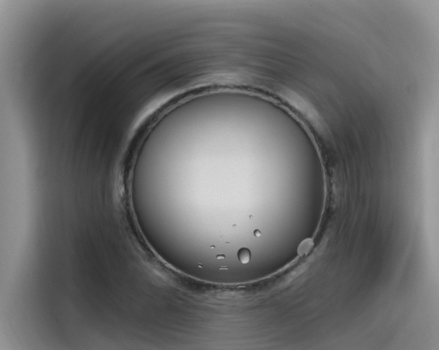 X0000115521070200911131440