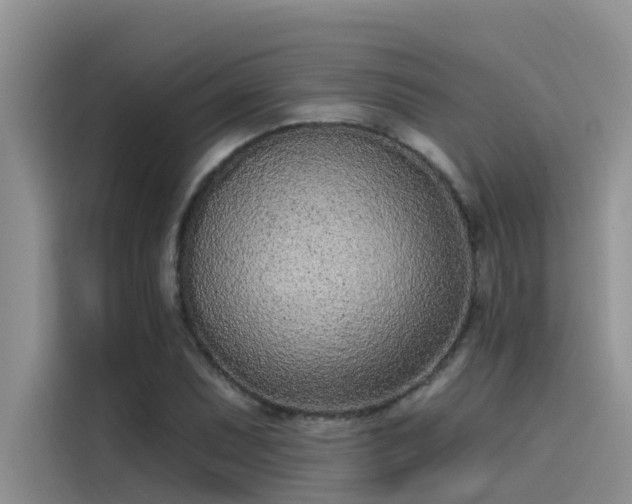 X0000115521071200911131440