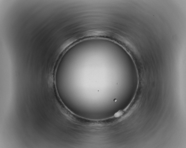 X0000115521073200911131440