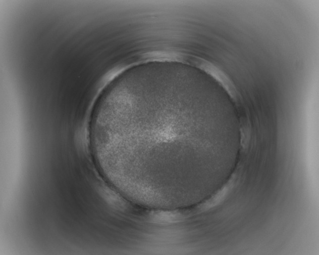 X0000115521074200911131440