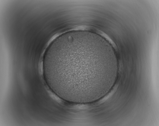 X0000115521075200911131440