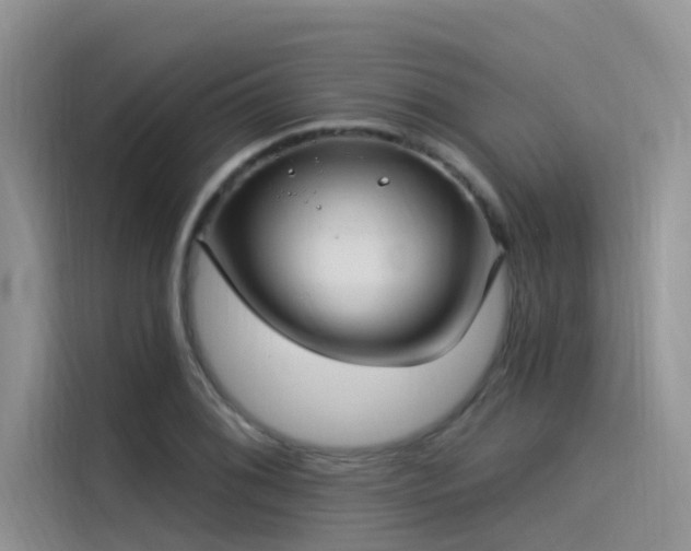 X0000115521076200911131440