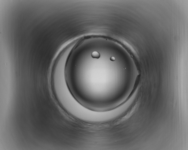 X0000115521077200911131440