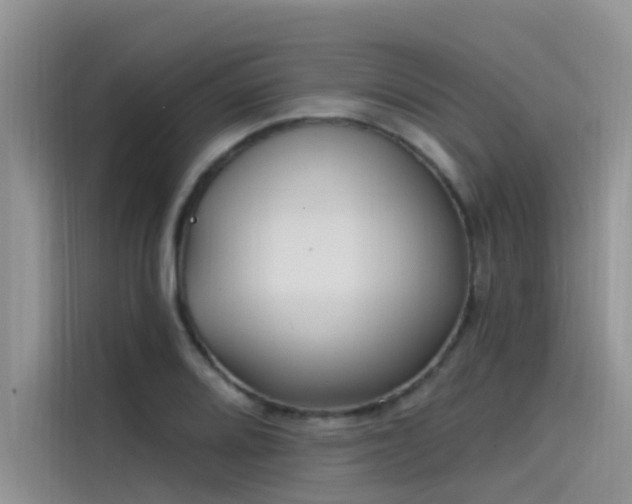 X0000115521080200911131440