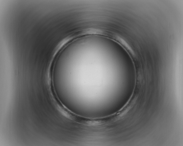 X0000115521082200911131440