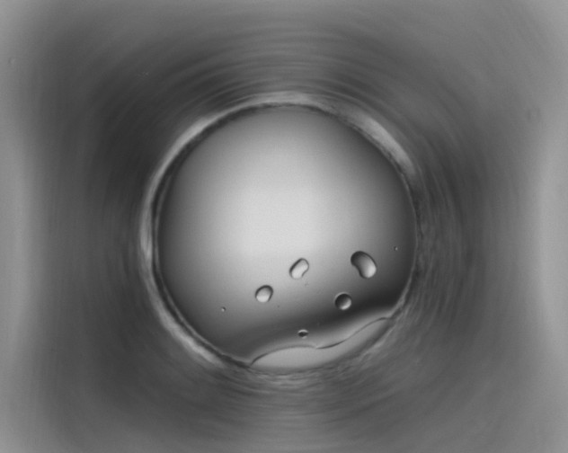 X0000115521084200911131440