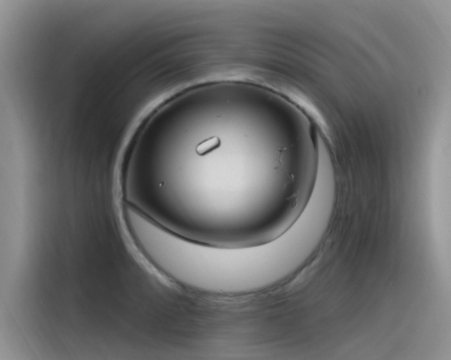 X0000115521088200911131440