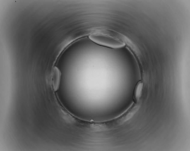 X0000115521089200911131440