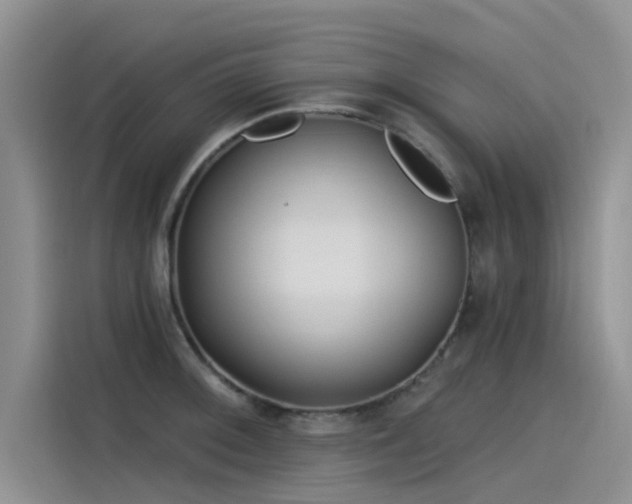 X0000115521092200911131440