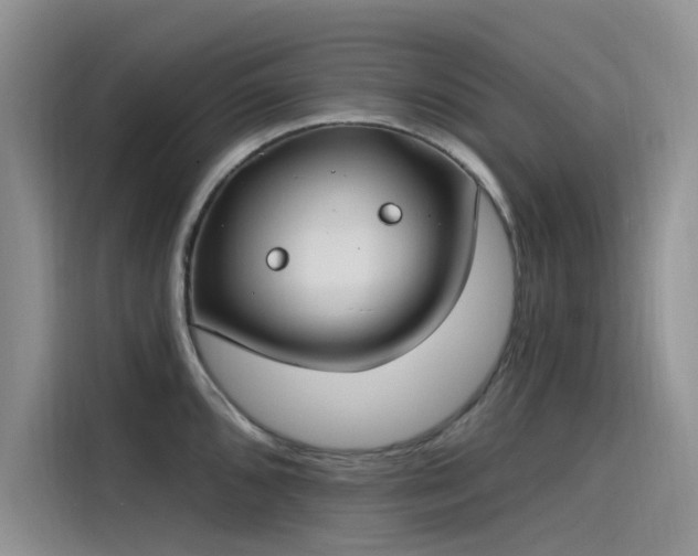 X0000115521096200911131440