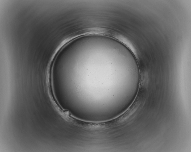 X0000115521099200911131440