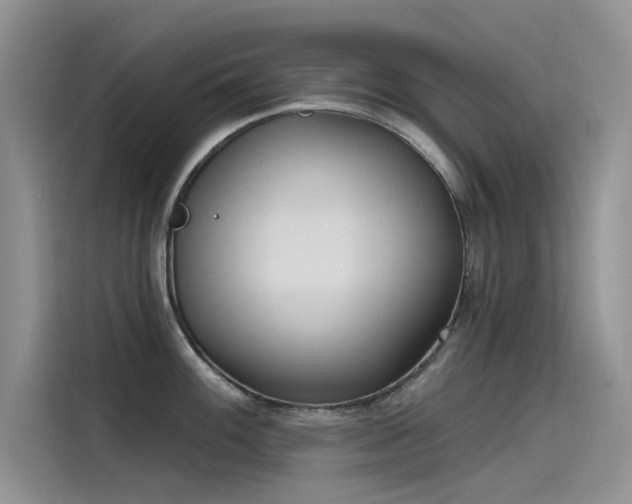 X0000115521100200911131440